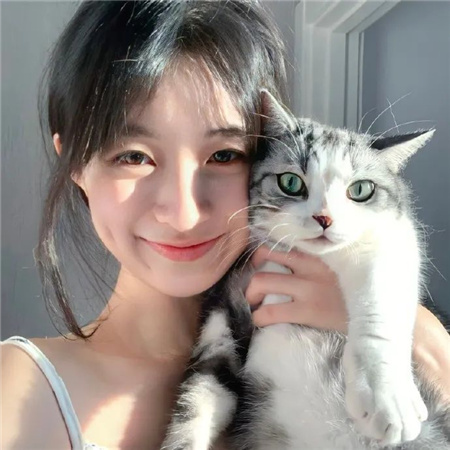 夜上海最新论坛：夜色中的诗意画卷