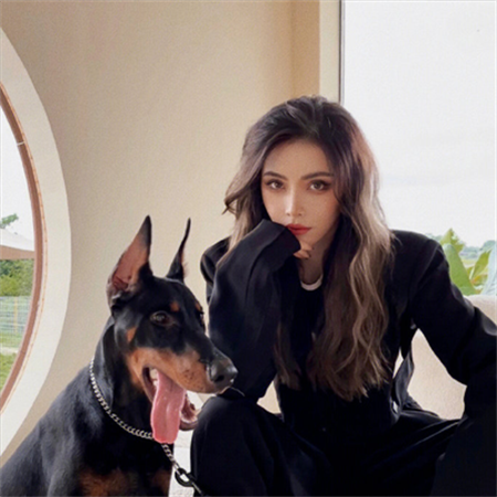 上海419贵族茶与美食：奢华体验的完美结合