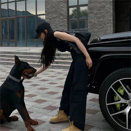 上海龙凤花坛：魔都享受奢华购物的最佳推荐