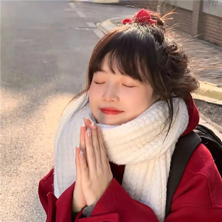 上海龙凤花坛：探索未知世界，让迷你花坛带你遨游 - 上海龙凤419