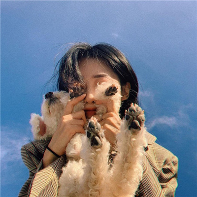 上海419论坛之耀：伟大家族的威望与传承