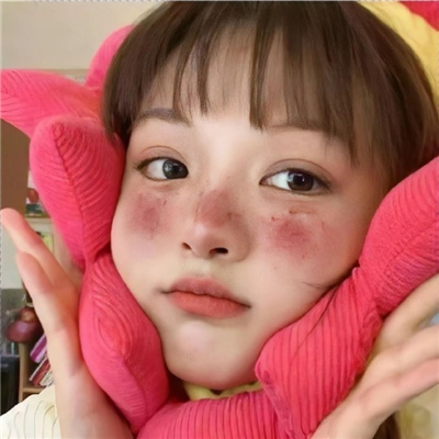 上海龙凤花坛：迷你花坛的魅力，把大自然带入家中 - 上海龙凤419