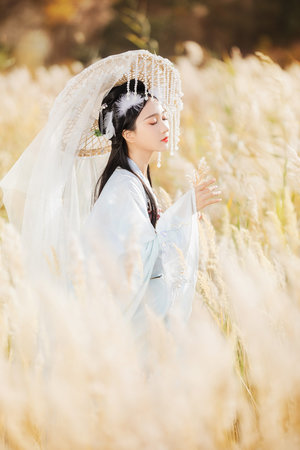 上海龙凤花坛：魔都发现隐藏在建筑之间的独特艺术