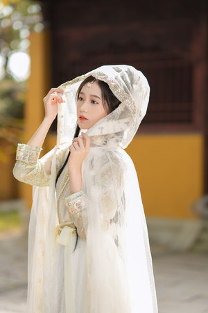 上海龙凤花坛：花坛中的童话奇迹 - 上海龙凤419